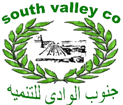 شركة جنوب الوادي